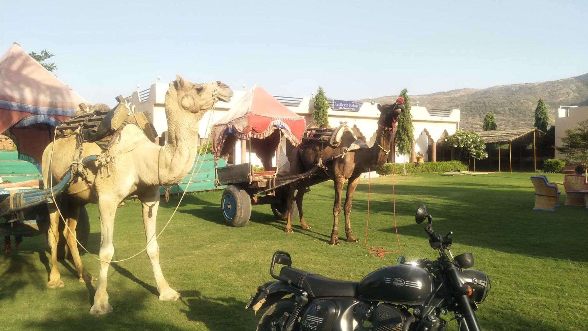 Pari Resort With Nature View Pushkar Exterior foto